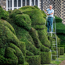 Load image into Gallery viewer, Hi-Step Senior Platform HIS5