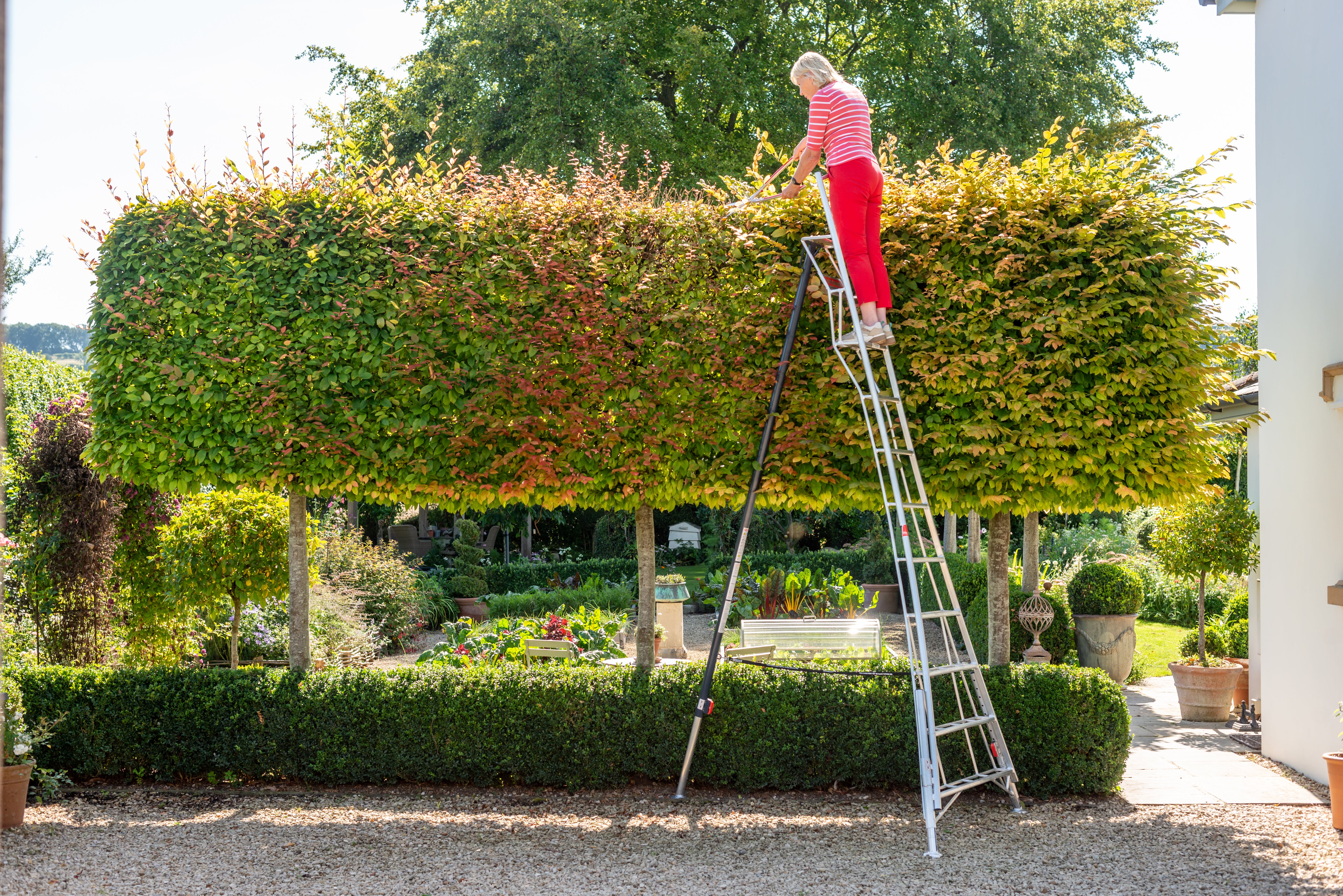 Normal Ladder 12ft Fully Adjustable Tripod Ladder (3.6m) | Henchman AU – Henchman ...